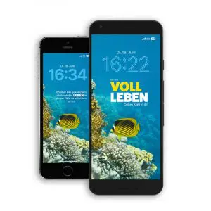 Kostenlose Smartphone Wallpaper „VOLL LEBEN“ für Dein Smartphone